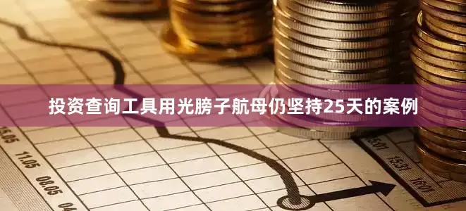 投资查询工具用光膀子航母仍坚持25天的案例