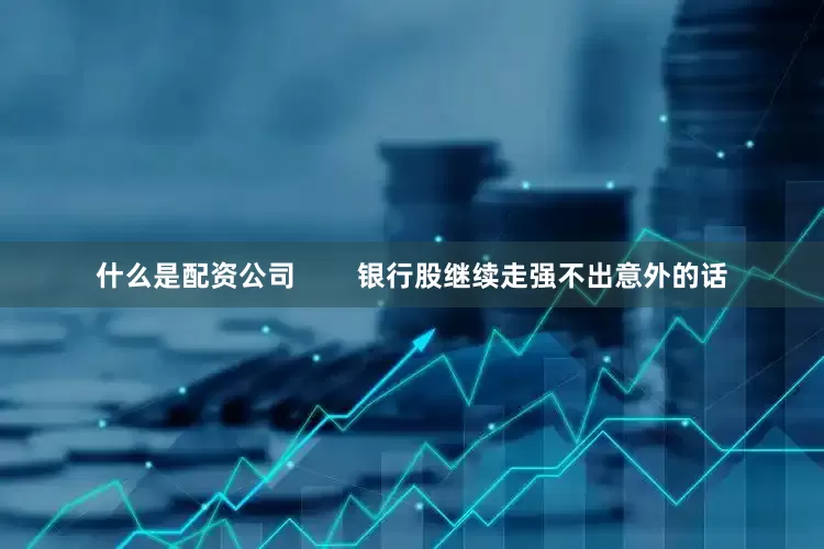 什么是配资公司        银行股继续走强不出意外的话