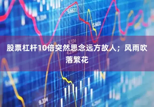 股票杠杆10倍突然思念远方故人；风雨吹落繁花