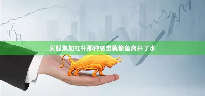 买股票加杠杆那种感觉就像鱼离开了水