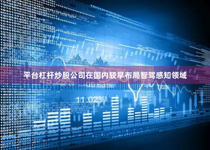 平台杠杆炒股公司在国内较早布局智驾感知领域